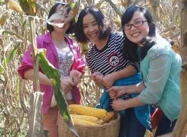 2.掰玉米人員25名，要求至少1年工作經(jīng)驗，手腕有勁手指靈活，拉呱時候能不耽誤干活，皮糙肉厚者優(yōu)先：